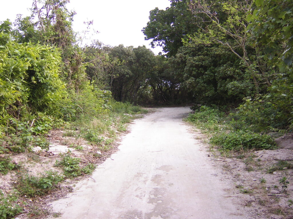 竹富島,アイヤル道