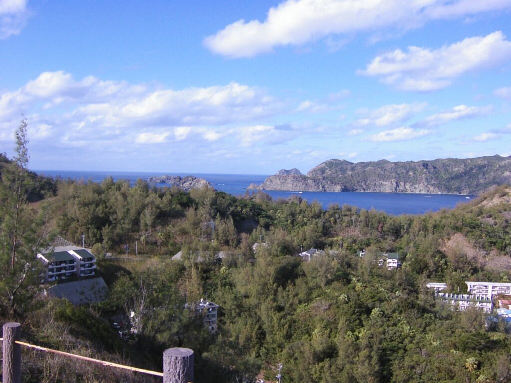 父島の山から初寝浦を望む