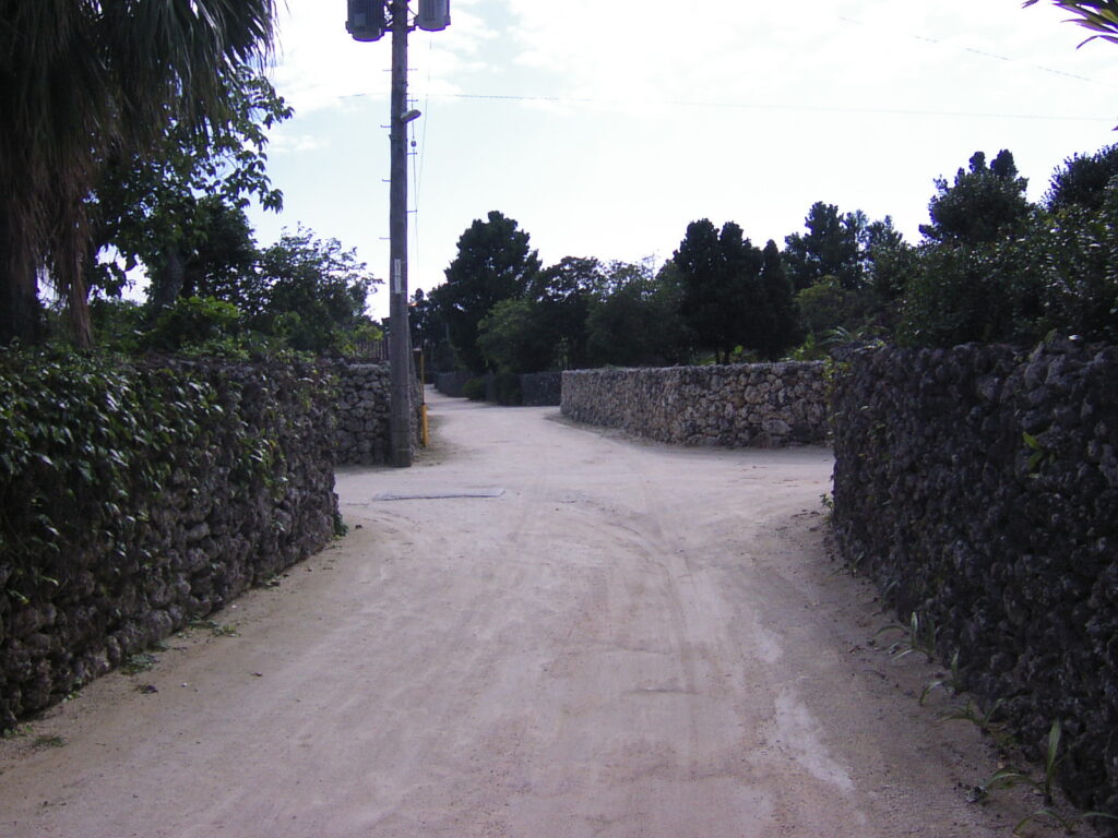 竹富島中心街 石垣 道端