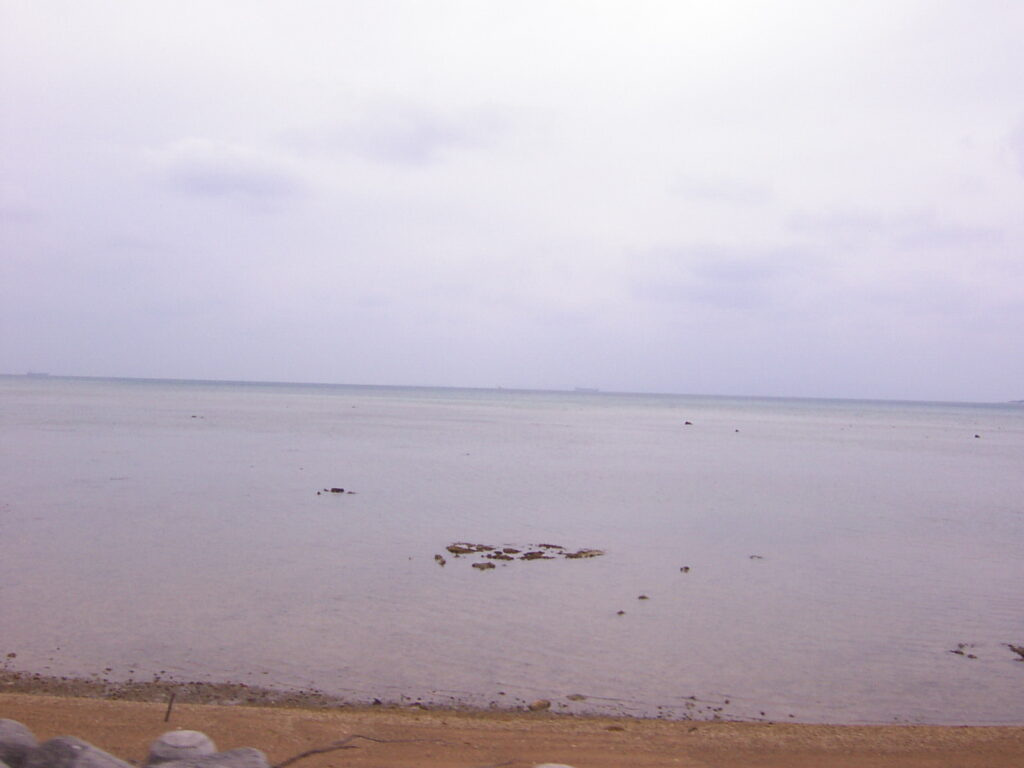 石垣島 名蔵湾 干潟 マングローブ