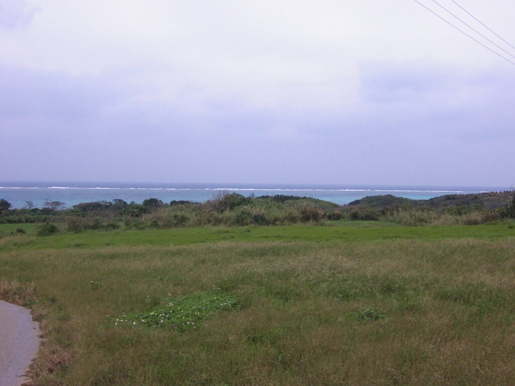 石垣島 平野 東シナ海 絶景