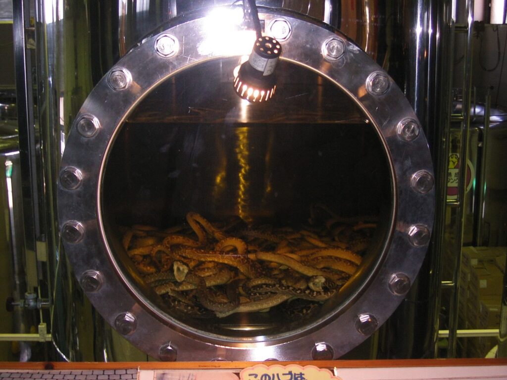 おきなわワールドのハブのアルコール漬け