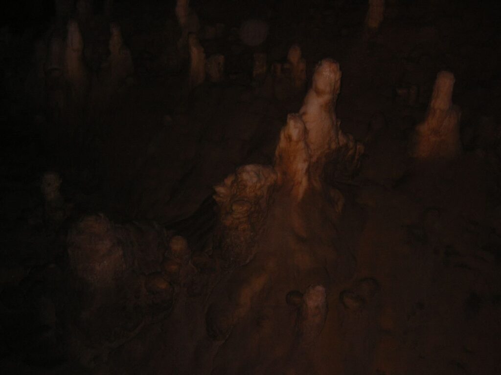 玉泉洞のそそり立つ石筍