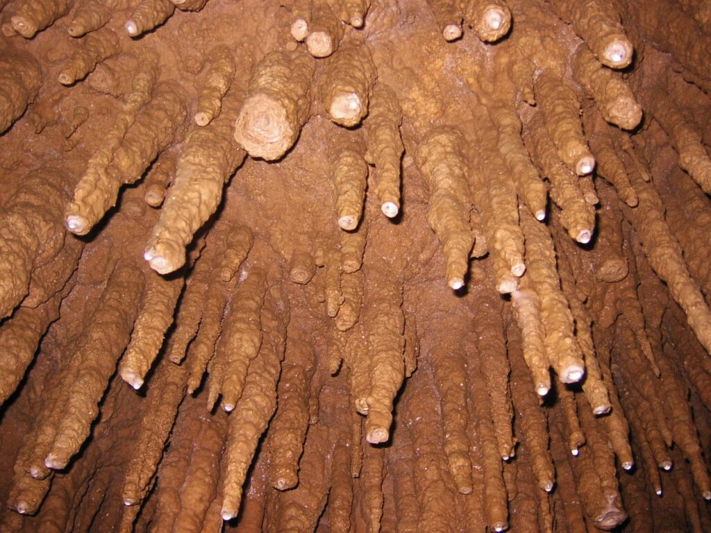 玉泉洞の「槍天井」