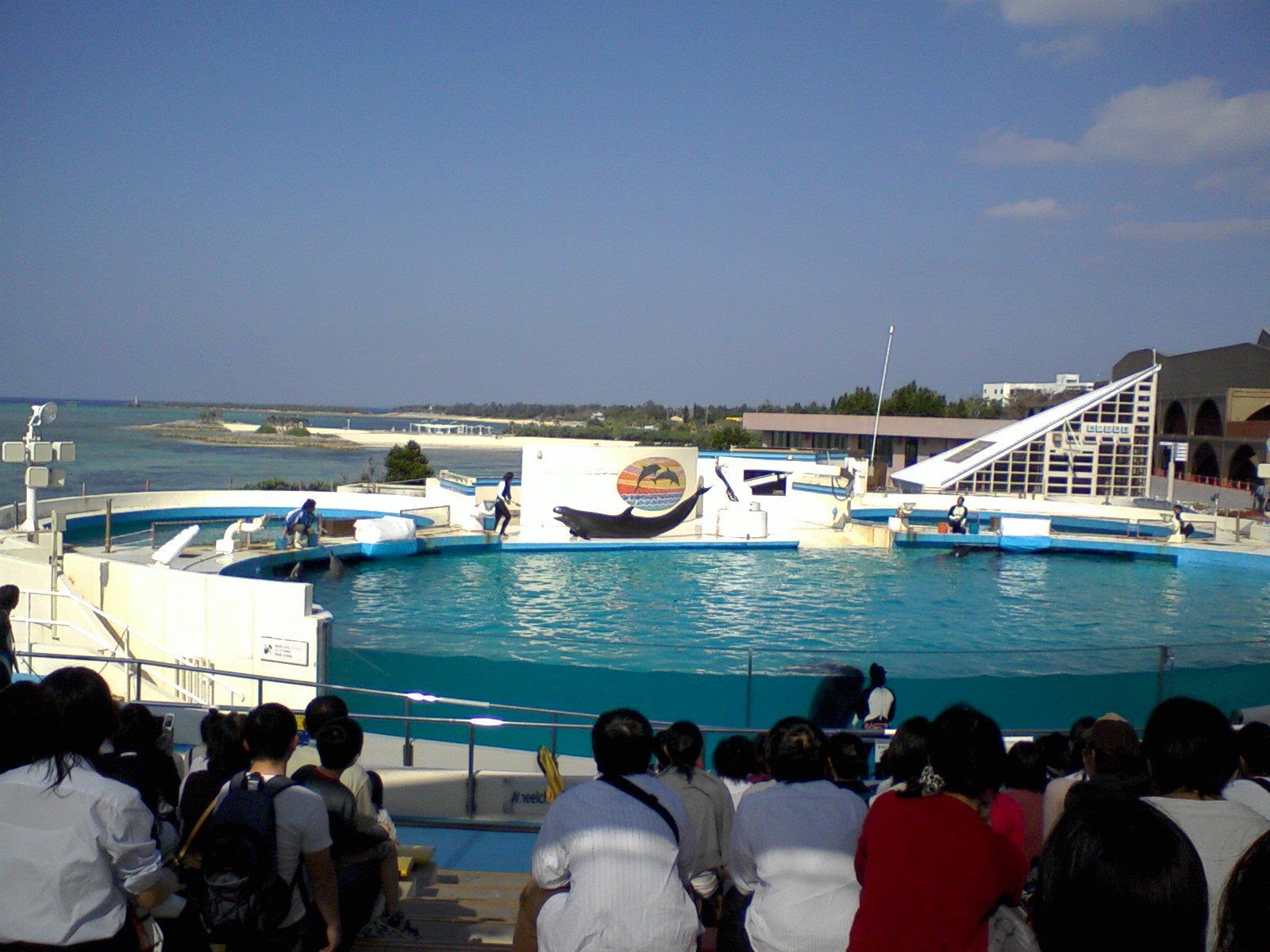 海洋博公園のイルカスタジオ