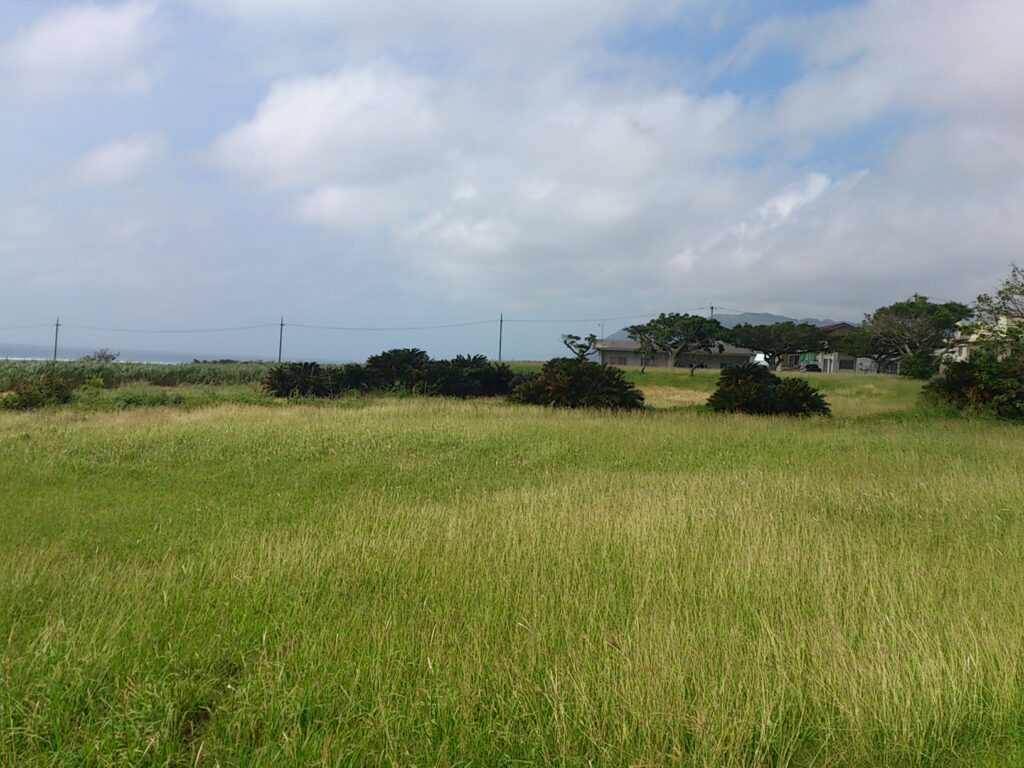 西表島の風景
