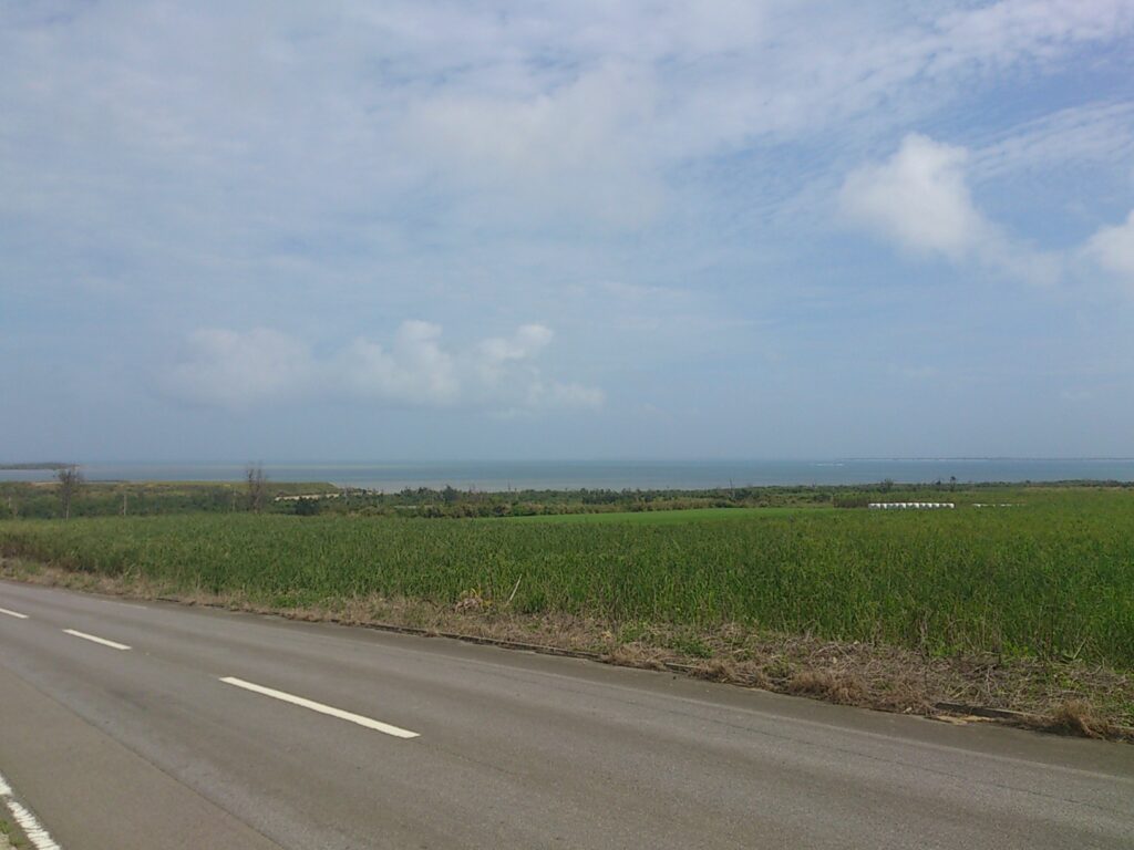 西表島の畑と道路