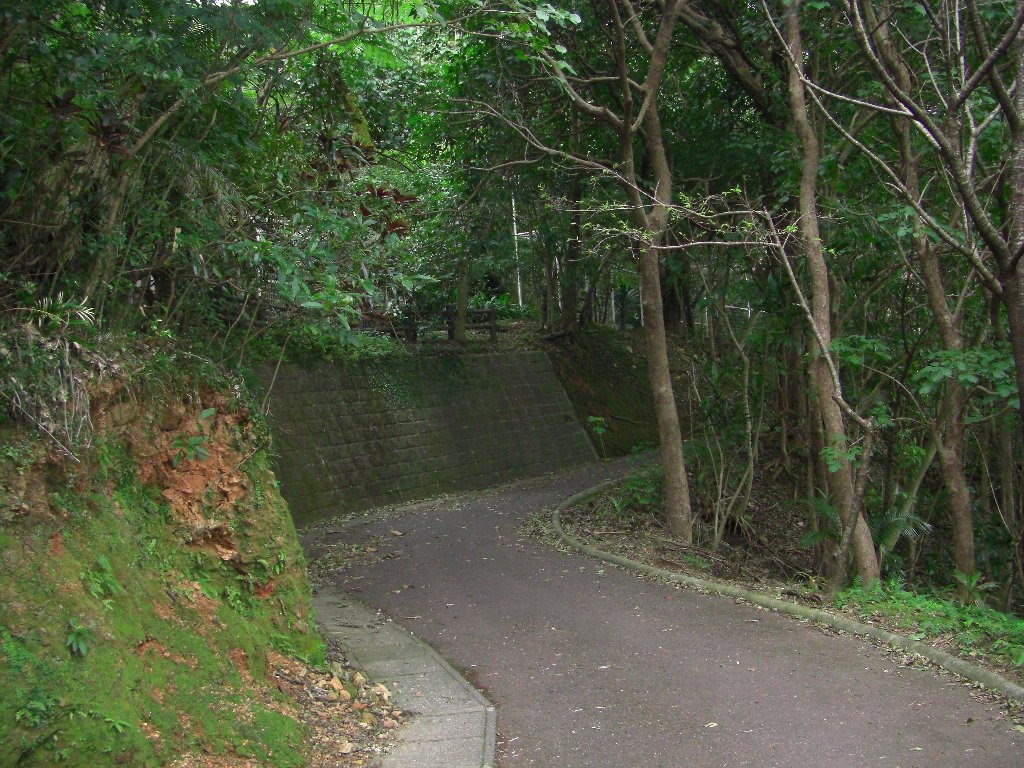 奄美大島おがみ山公園の登山道