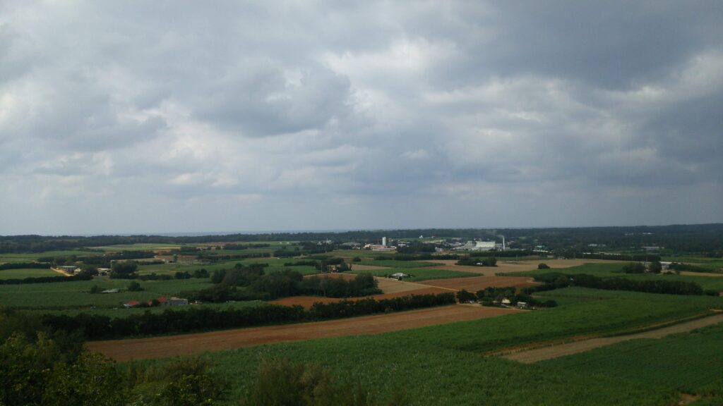 南大東島日の丸山展望台より南大東島全体を望む