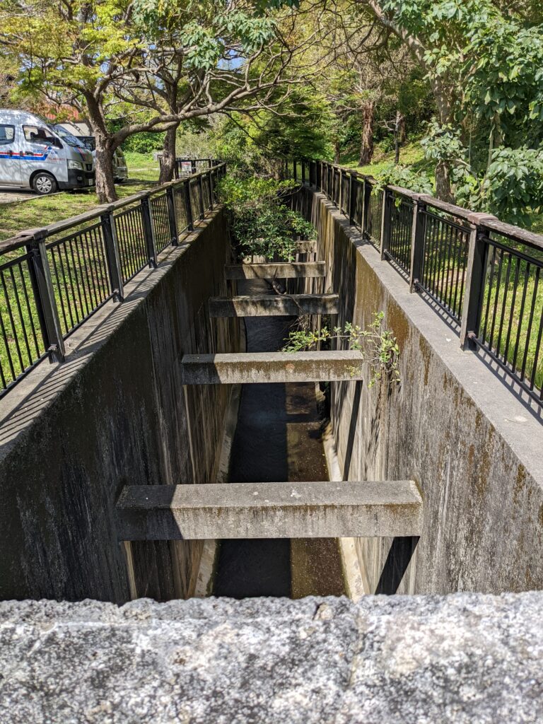 放水路から下流を覗く