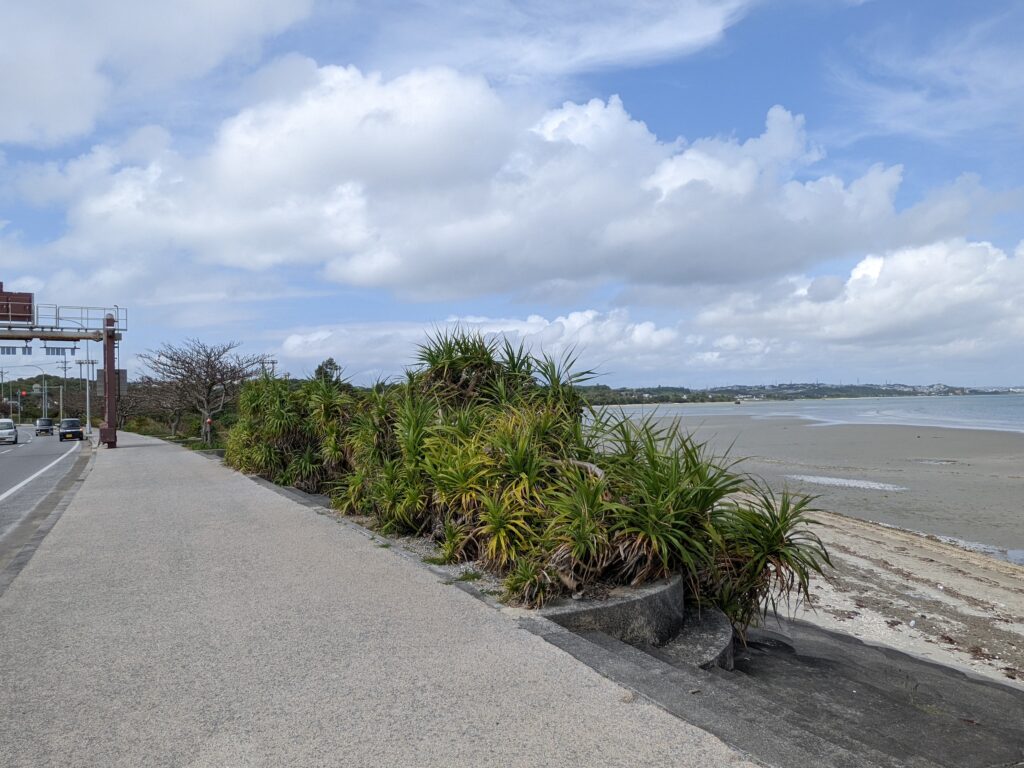 海中道路ビーチ