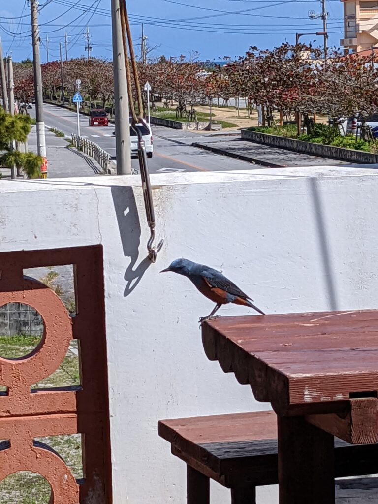 平安座島のBOULANGERIE CAFÉ Yamashitaにて
