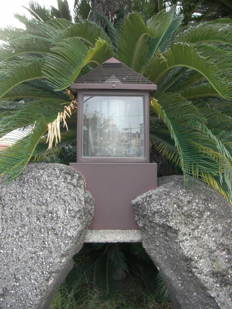 雲仙普賢岳・平成新山の火