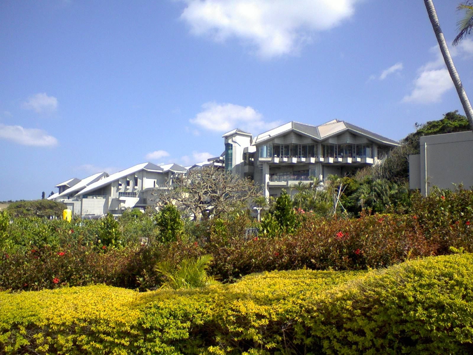 美ら海水族館を横から撮影。沖縄の建築家国場幸房氏のデザインがデザインした独特の建物。