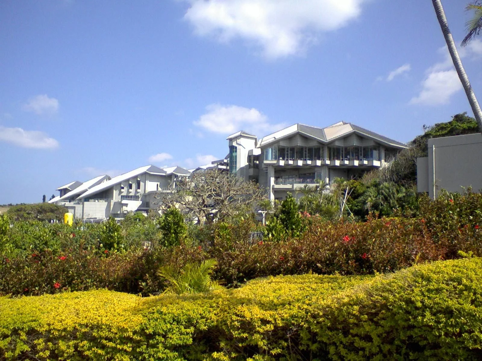 美ら海水族館を横から撮影。沖縄の建築家国場幸房氏のデザインがデザインした独特の建物。