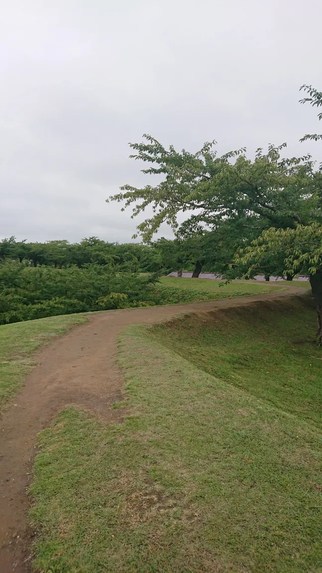 五稜郭の土塁の上に続く散策路