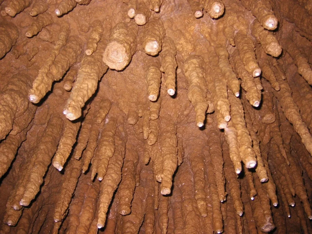 2万本のつらら石が密集している。上を見ていると、突き刺さってきそうな感覚にとらわれる。