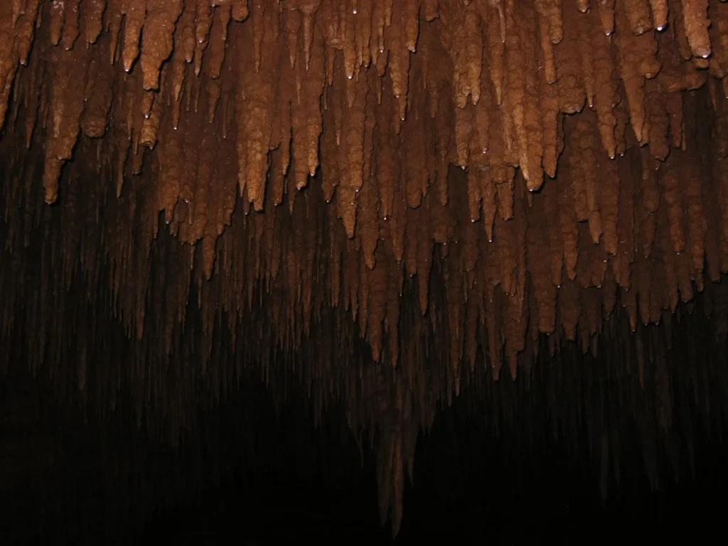 つらら石の密度が特に高い場所。