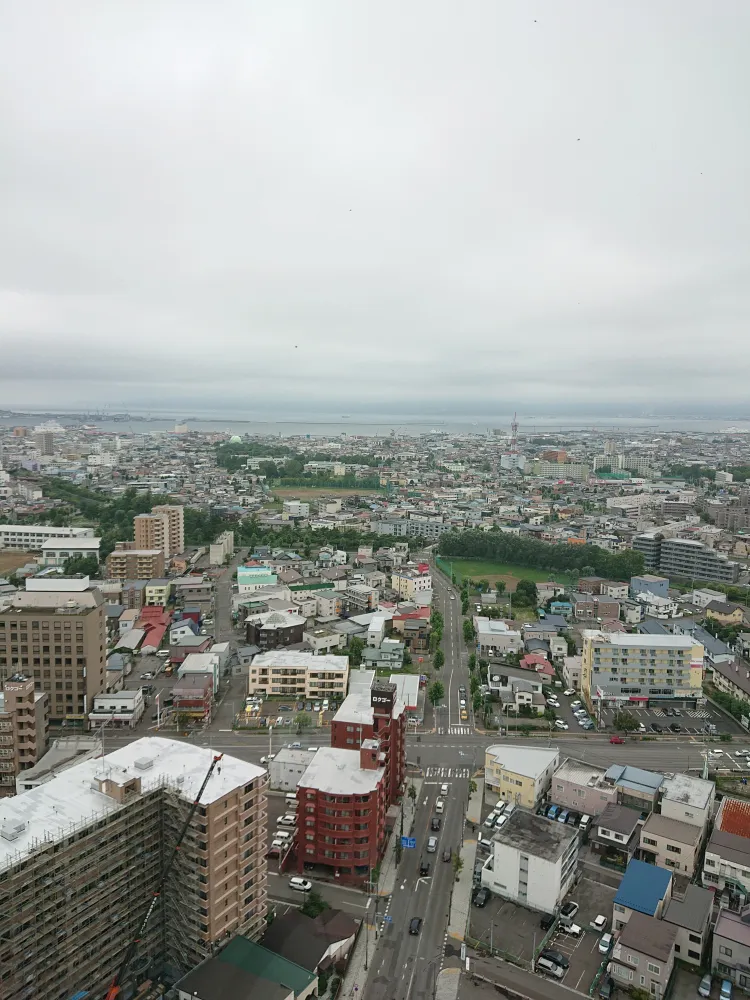 五稜郭タワーから望む函館の市街地と海