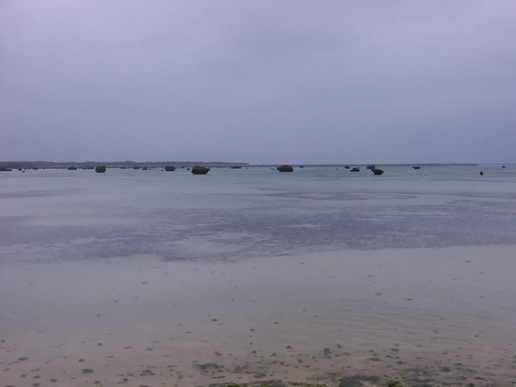 多くの岩がごろごろ転がっている。日本の渚100選だとか。