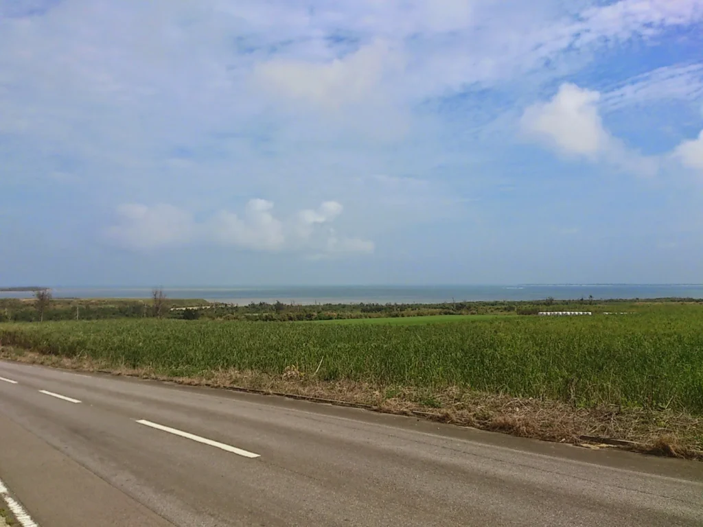 信号もほとんどない島の一周道路。海風を感じながらのサイクリングは最高。