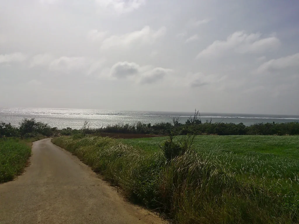 海へと下る道。陽の光を受けて海面が銀色に輝いている。