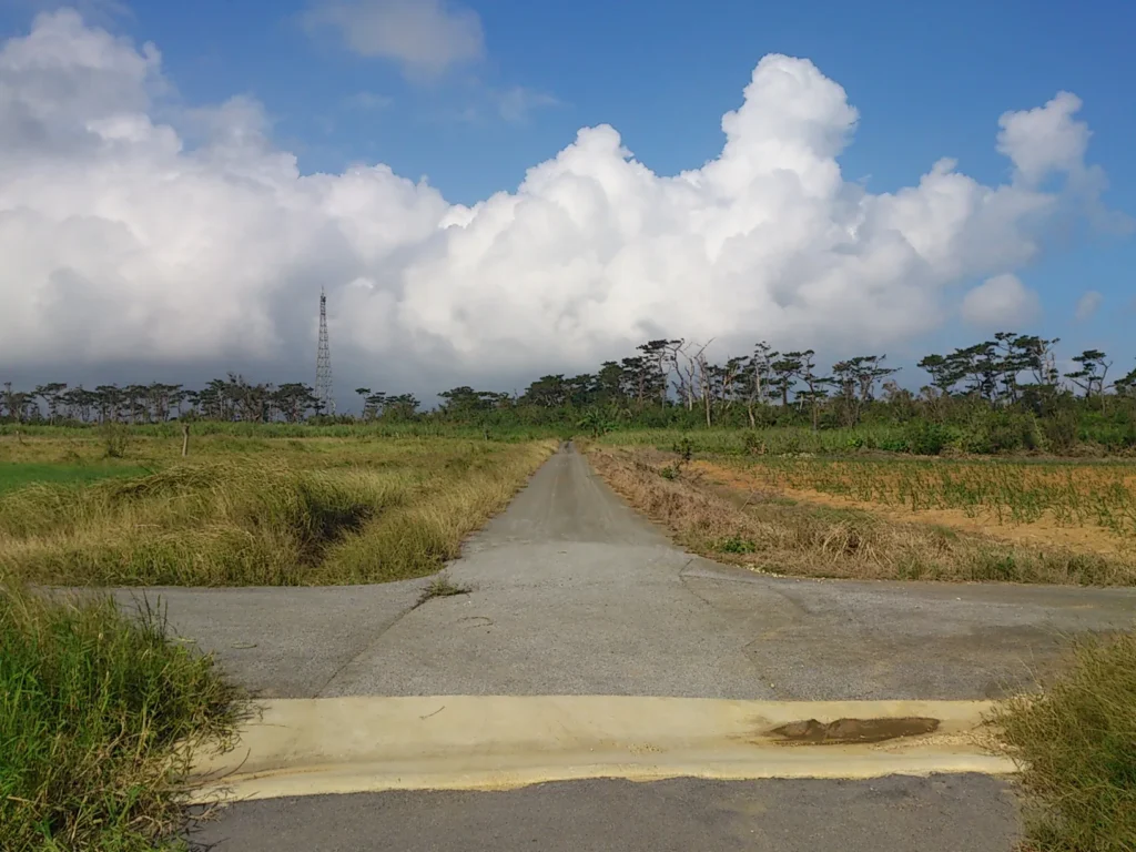 この先には何があるのだろうか。