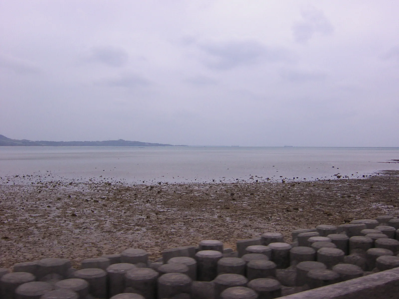 石垣島最大の湾である名蔵湾。ラムサール条約にも登録された湿地帯で、豊かな生態系を育む。