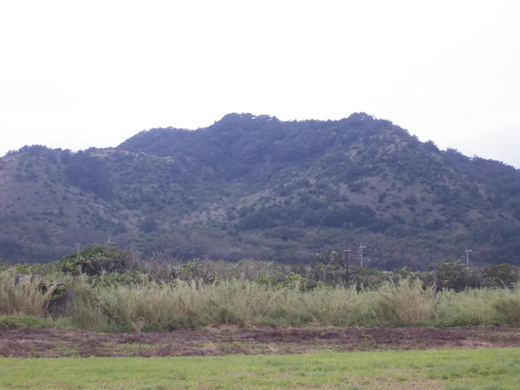 石垣島北端の平野から見た安良岳方面のジャングル。手つかずの自然が広がる島の奥深さを感じさせる。