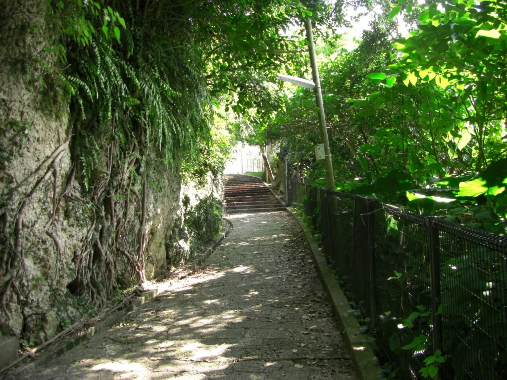 首里城から徒歩15分程度、首里金城町に石畳で舗装された道路がある。平日は人通りが少なく、また休憩所や喫茶店が沿道にあり、のんびりと散歩ができるのはうれしい。