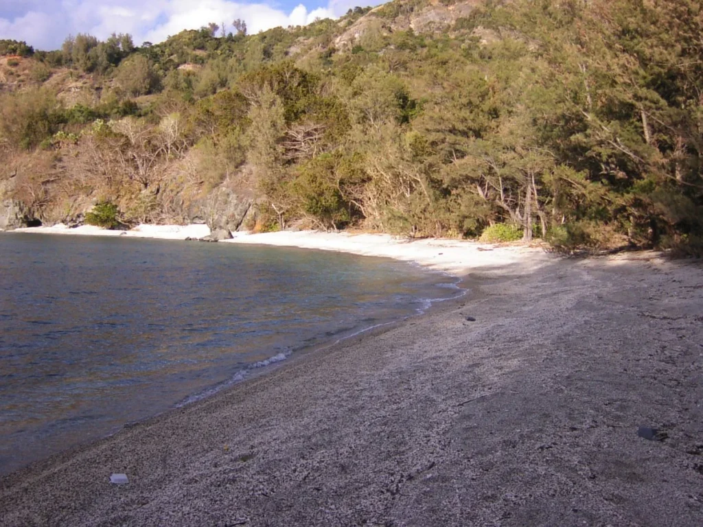 浜辺には木陰も多く、読書や昼寝をするのにも最適。この静寂こそ、離島旅の楽しみ。