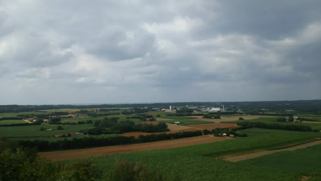 南大東島日の丸山展望台より南大東島全体を望む