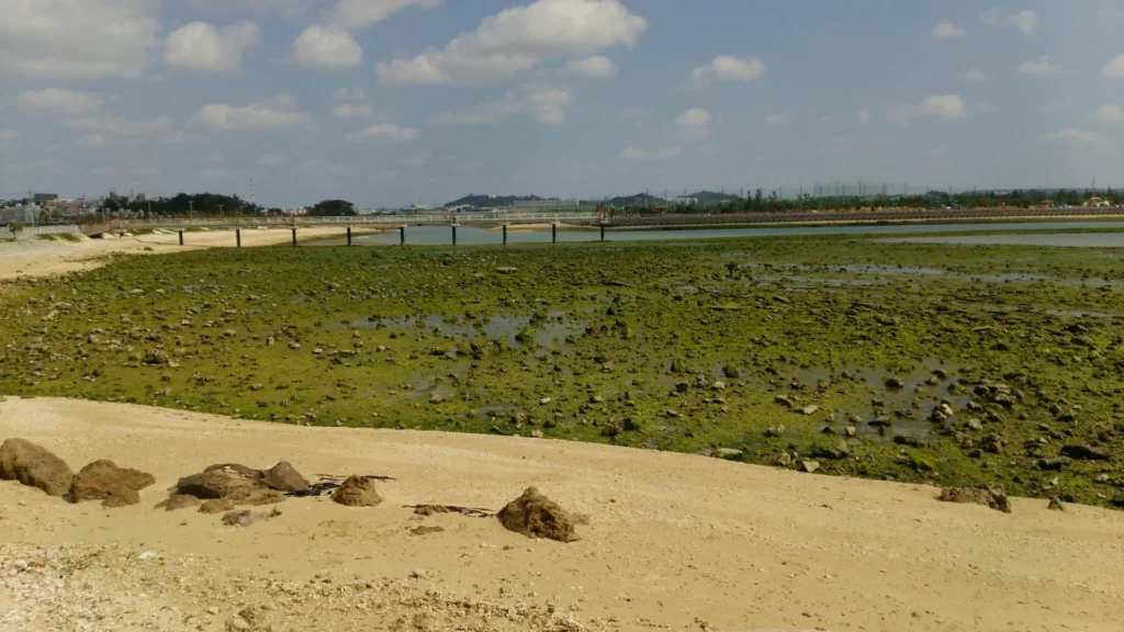 瀬長島ではビーチが整備されている。途中で途切れている橋のようなものは那覇空港の着陸支援施設。