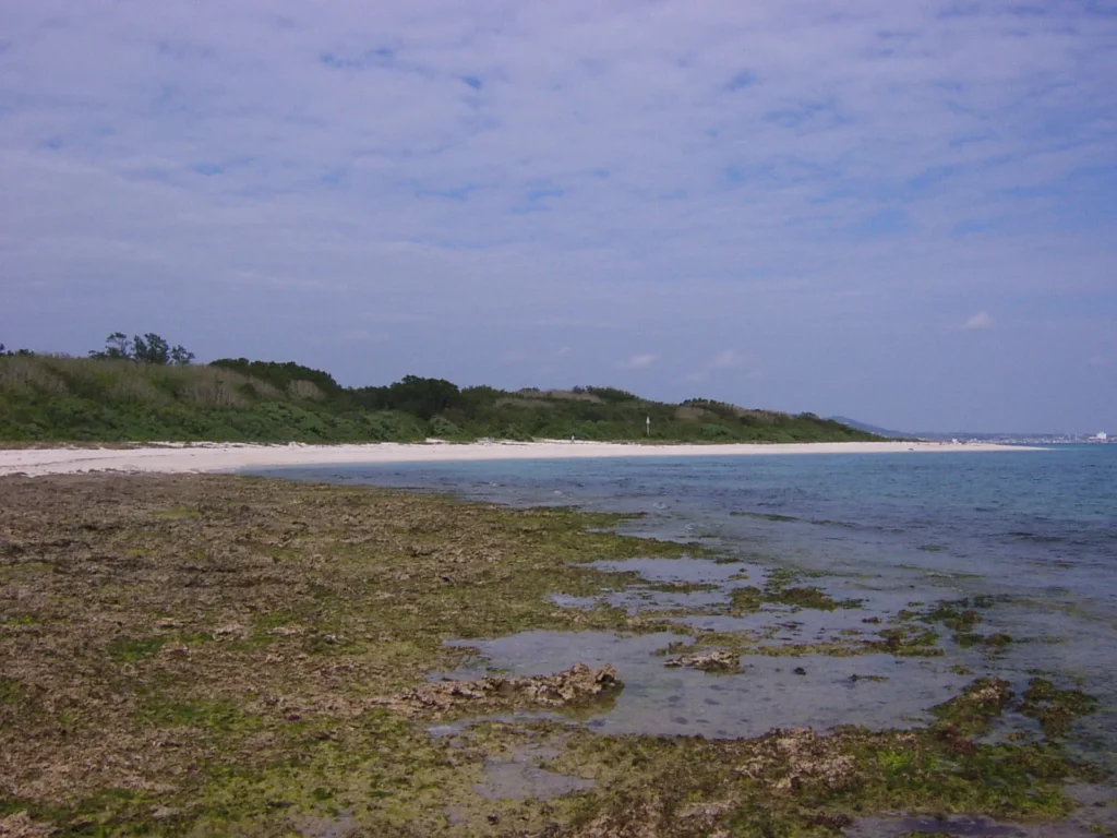 右側の遠くに見える町並みは、石垣市街。