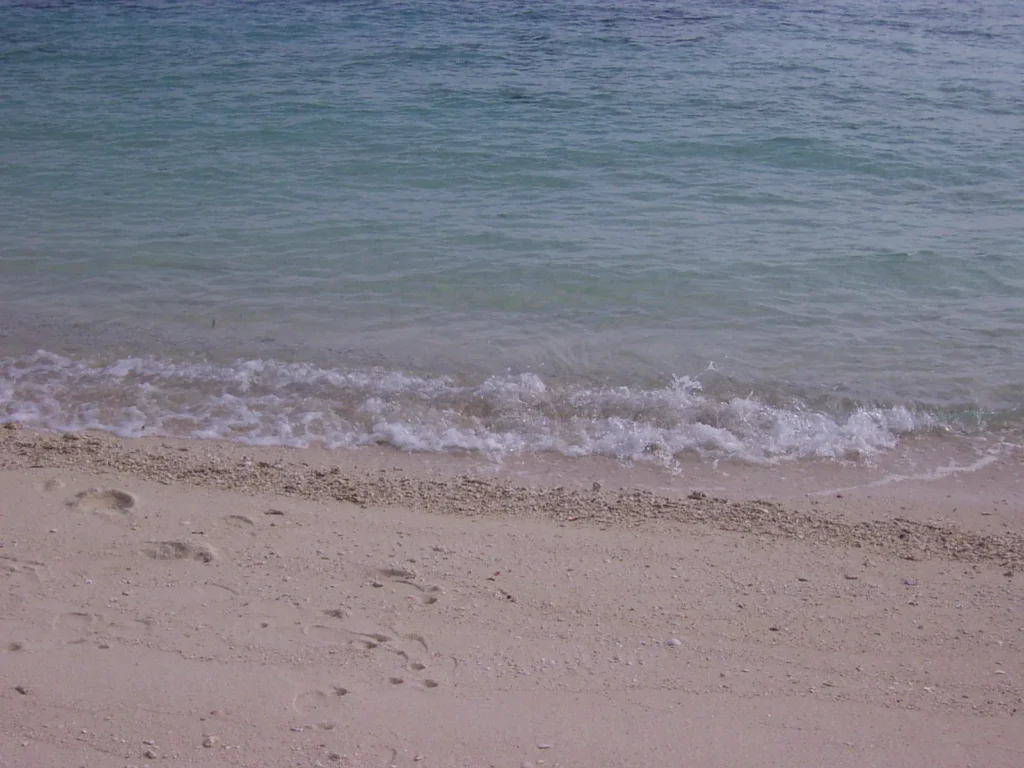 透明度の高い、まさに亜熱帯の海
