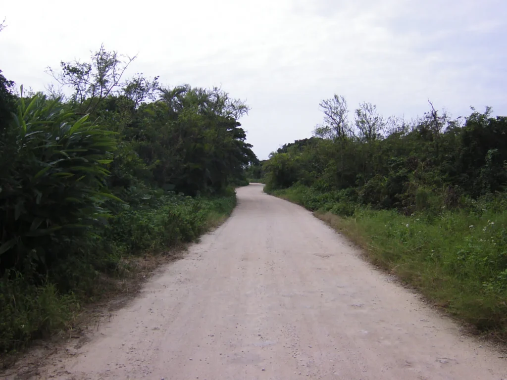 竹富島の中心部を外れると、このようなジャングルを切り開いたような道が続く。誰ともすれ違わない。