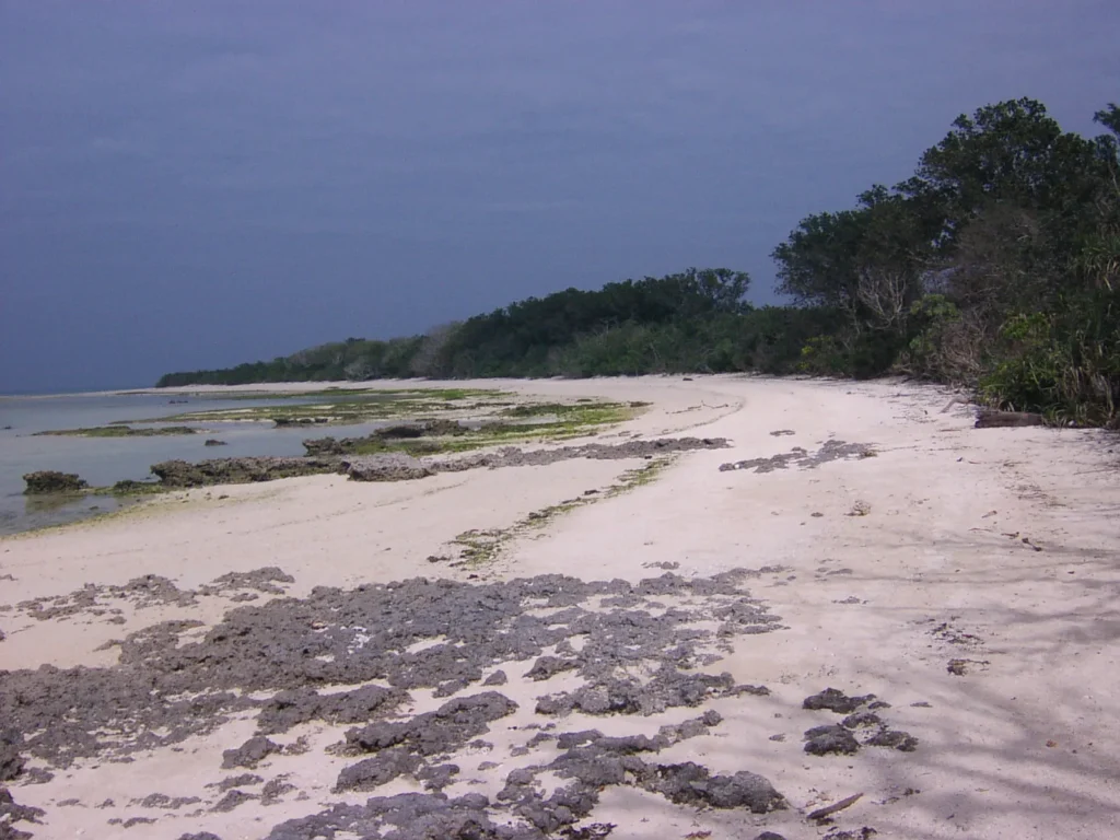 星砂で知られるカイジ浜。遊泳禁止だが、白い砂と木々の緑、そして岩場のコントラストが美しい。