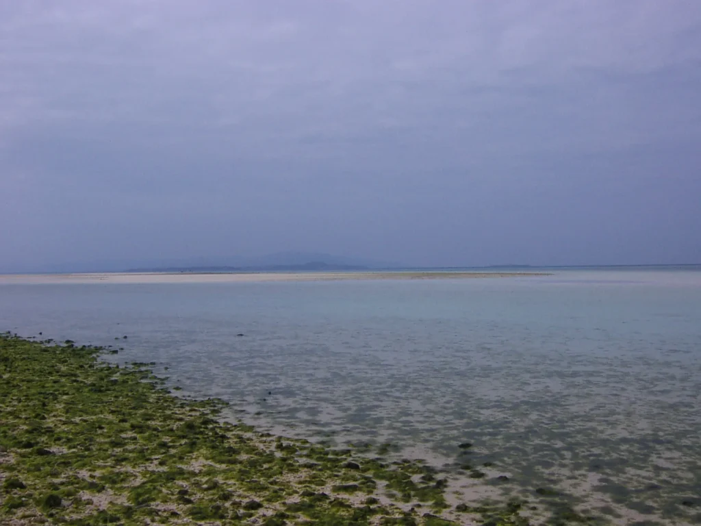 浅瀬にはだいぶ水草が生えている。干潮の時間であったため、水草が露出している。また、遠くに八重山諸島が見える。