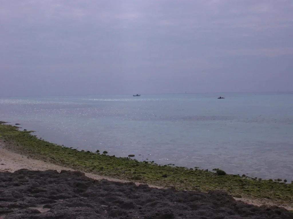 透明度の高い海。足元には豊かな海の生態系が広がる。