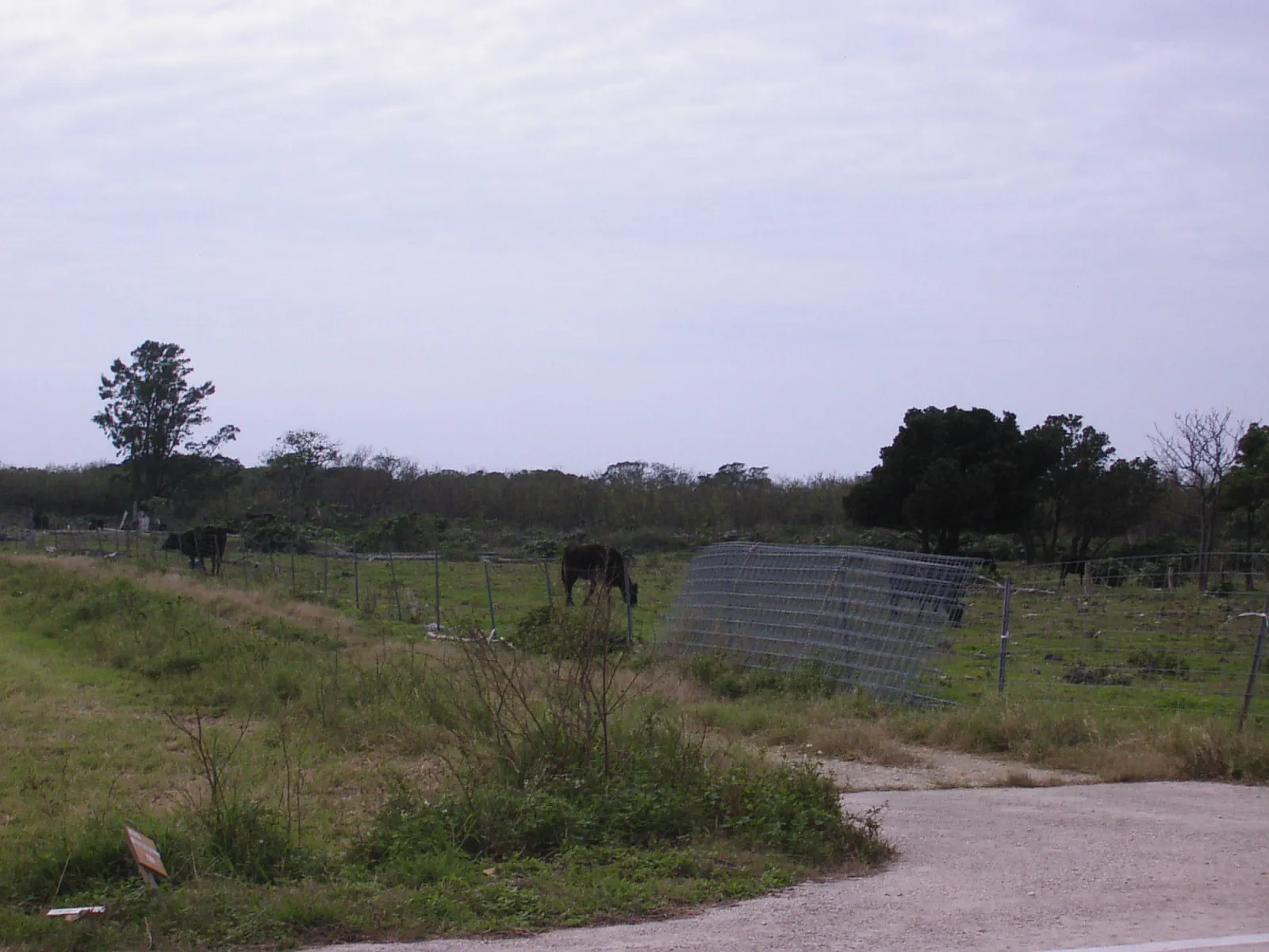 集落を抜けると広がる牧草地。高い建物がないため、空が広い。