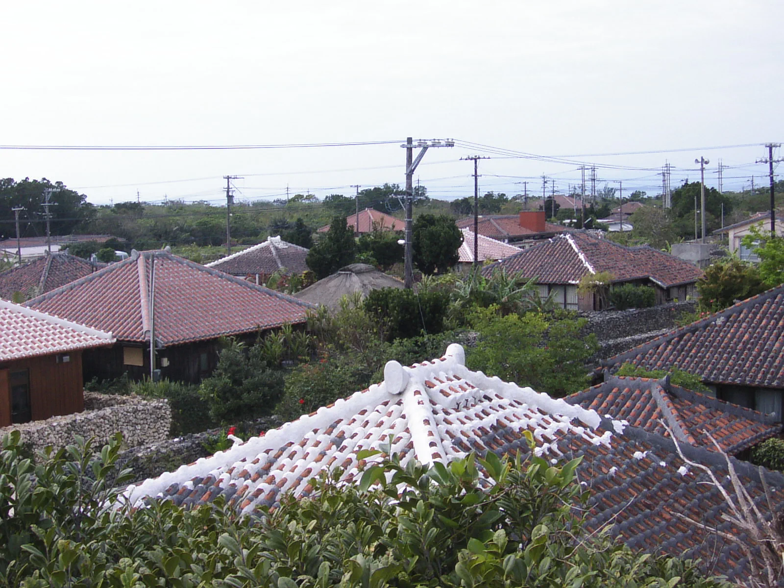 竹富島中心部の家は、みな赤瓦葺きで石垣に囲まれており、昔ながらの町並みが保存されている。