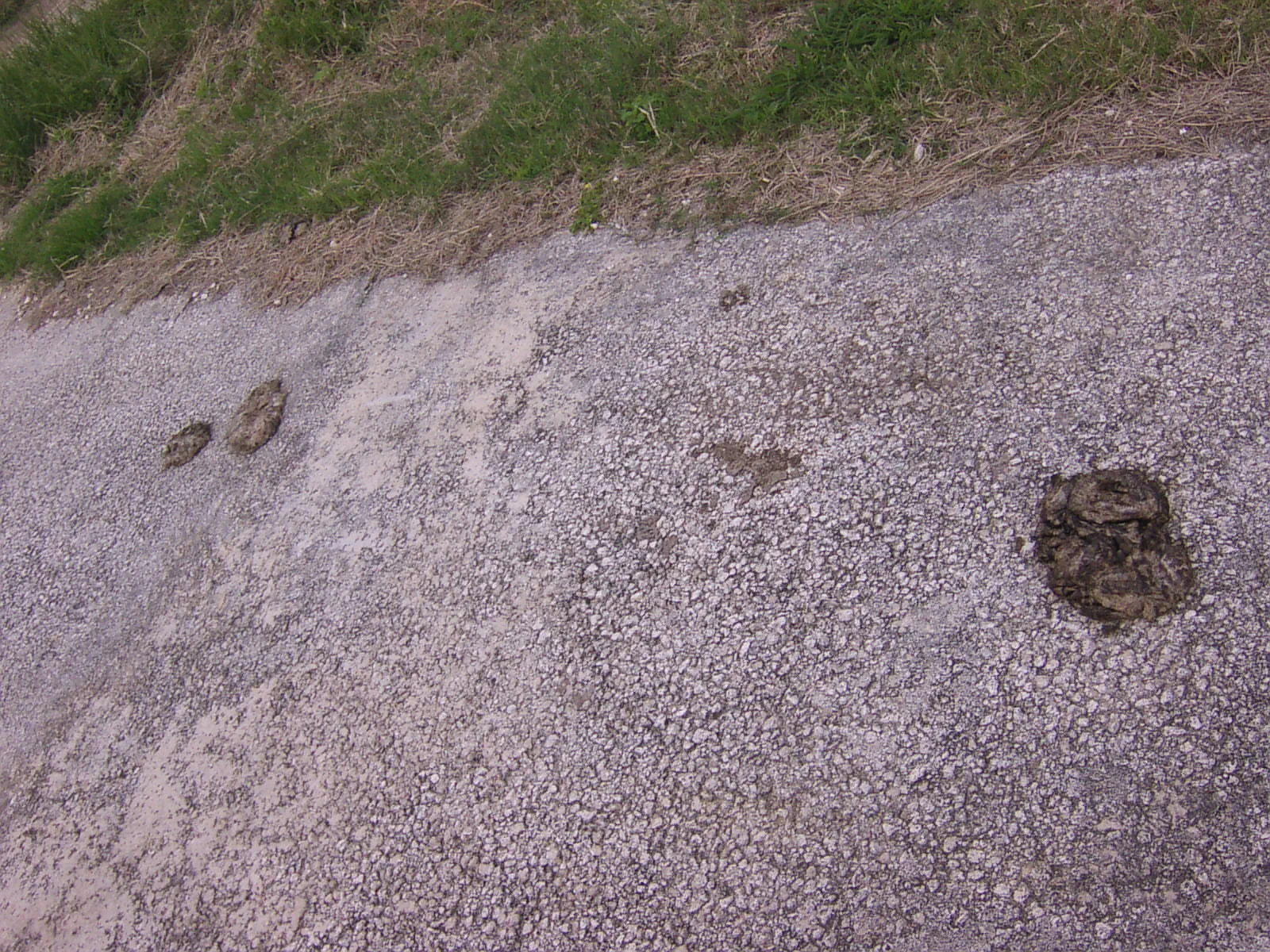 島の道に残る、牛の生活の痕跡。綺麗に整備された観光地だけではない、素朴な島の日常。