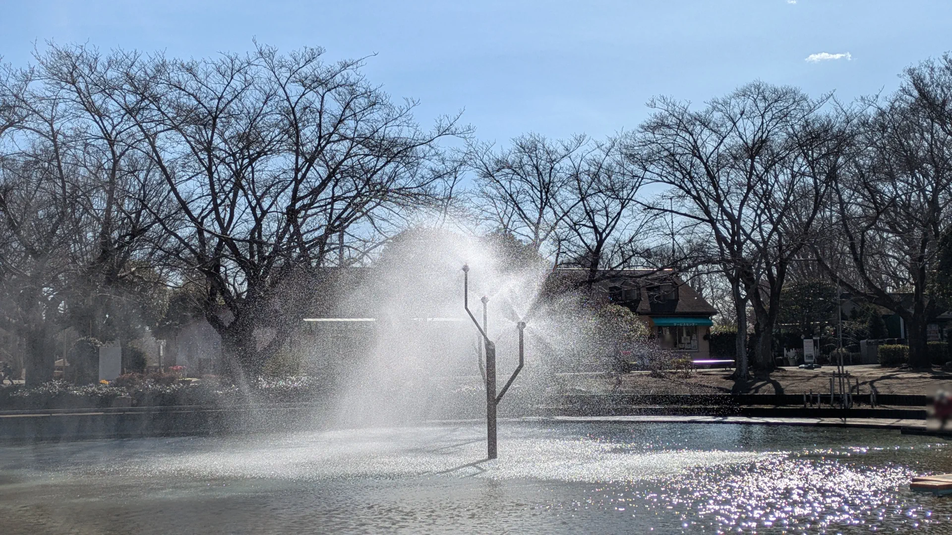 「にじの池」の噴水。水しぶきが陽の光を浴びてキラキラと輝き、夏場は絶好の水遊びスポットになる。