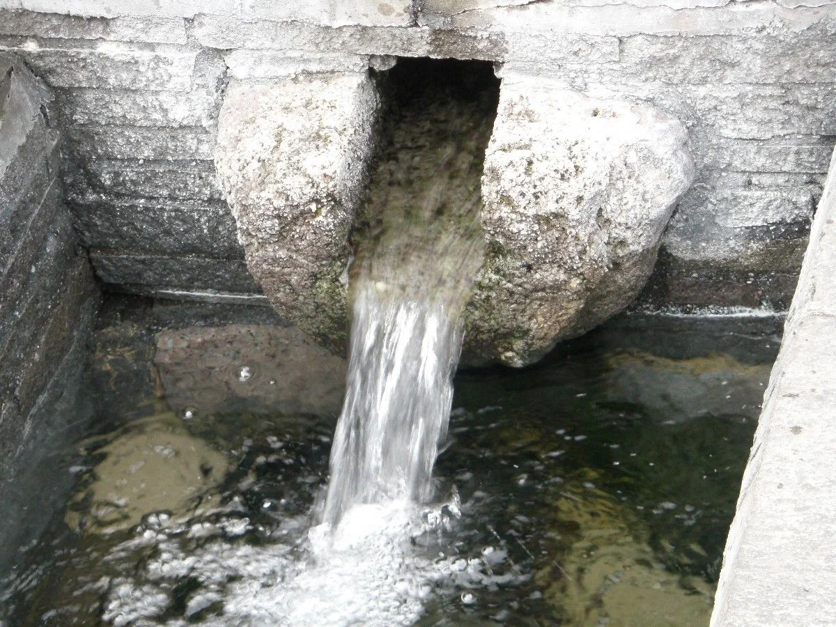 勢いよく流れ出す清流水の勢いは強く、地下水の豊富さをうかがわせる。