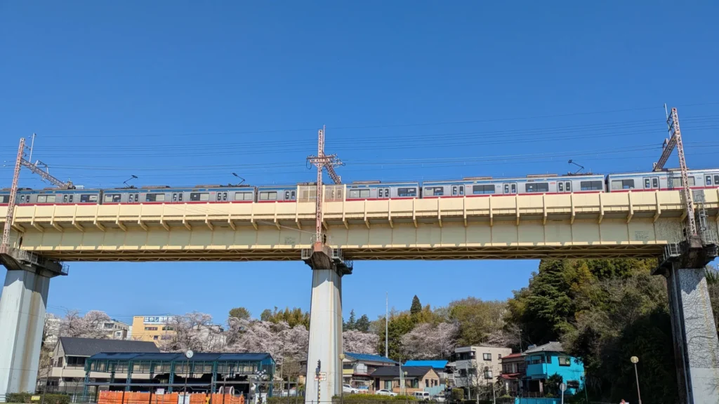 公園のすぐ上を京成電鉄が走り、桜との共演が見られる。
