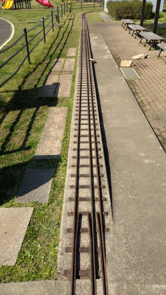 踏切からレールを眺めると、細いがしっかりとしたレールが延びている。