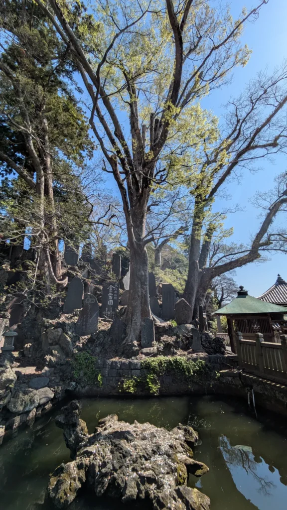 亀の形をした「亀岩」が見える池。周囲には無数の石碑が立ち、信仰の厚さが伺える。